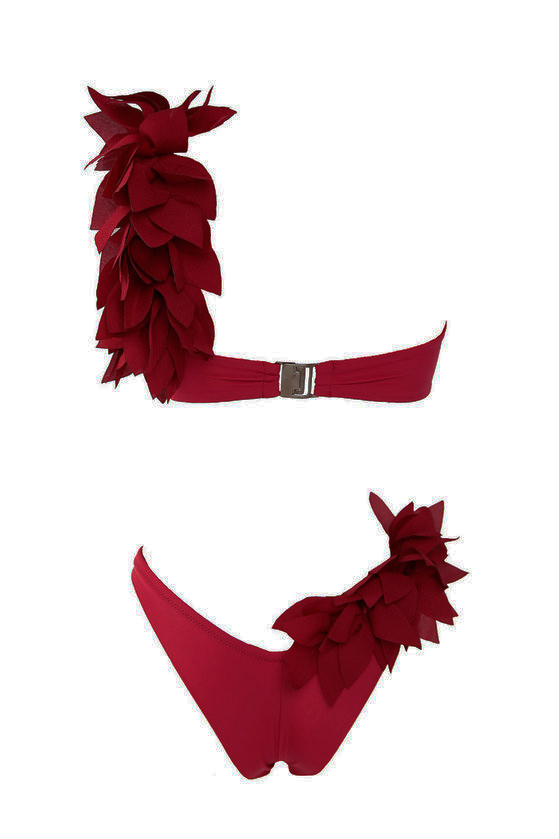 6. camellia_bordo 2